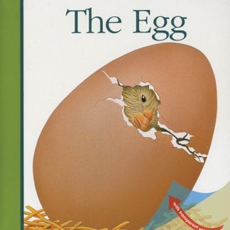 The Egg