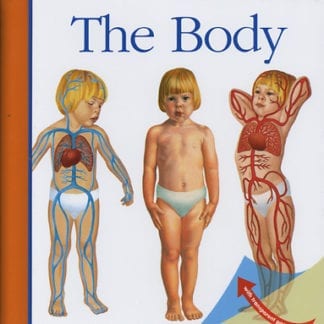 The Body
