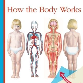 How the Body Works