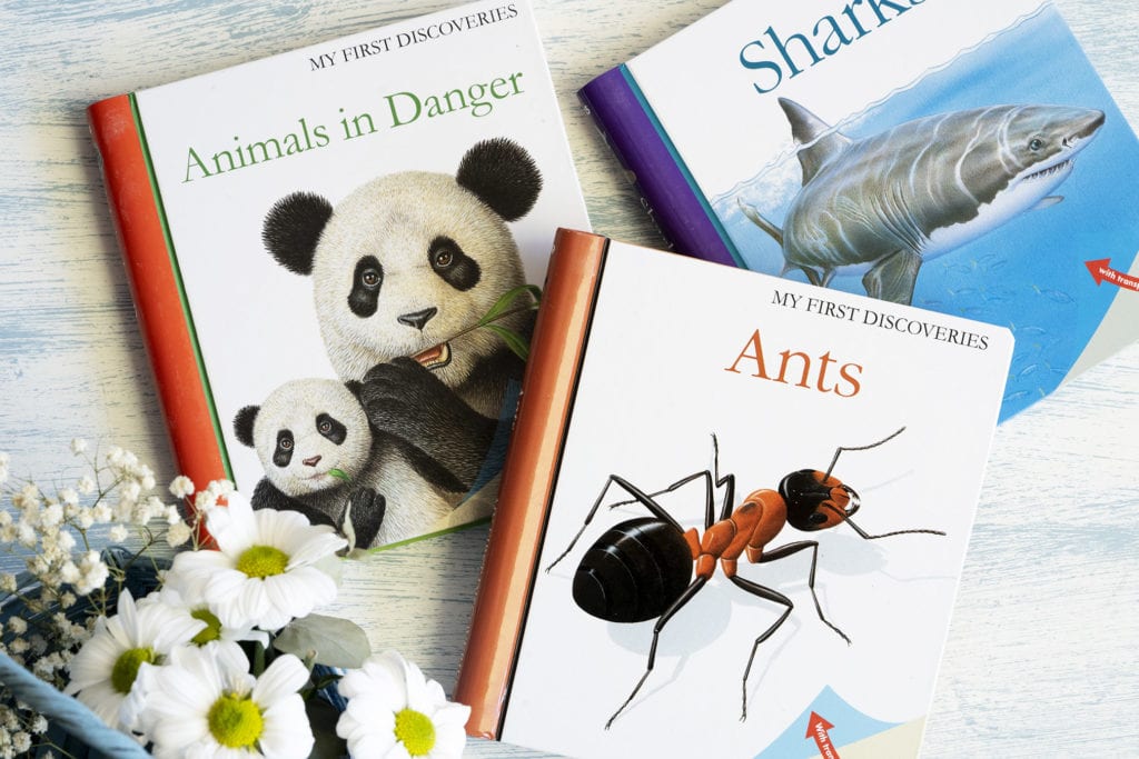 My First Discoveries Books