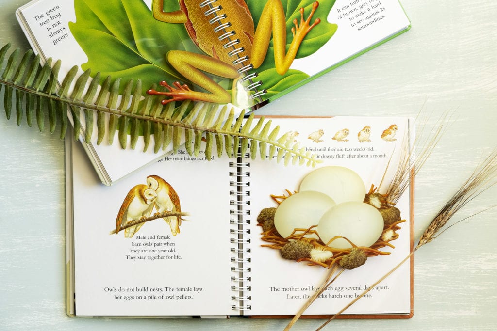 My First Discoveries series