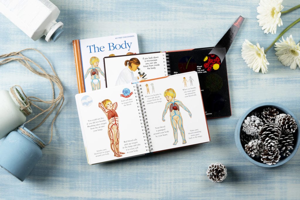 Anatomy for Kids