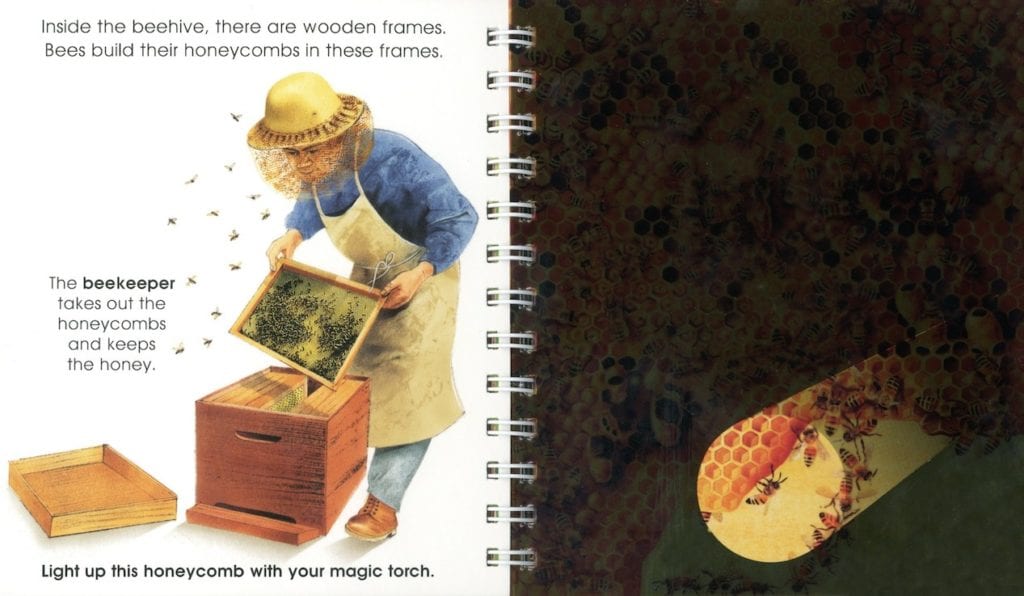 Children's book about insects