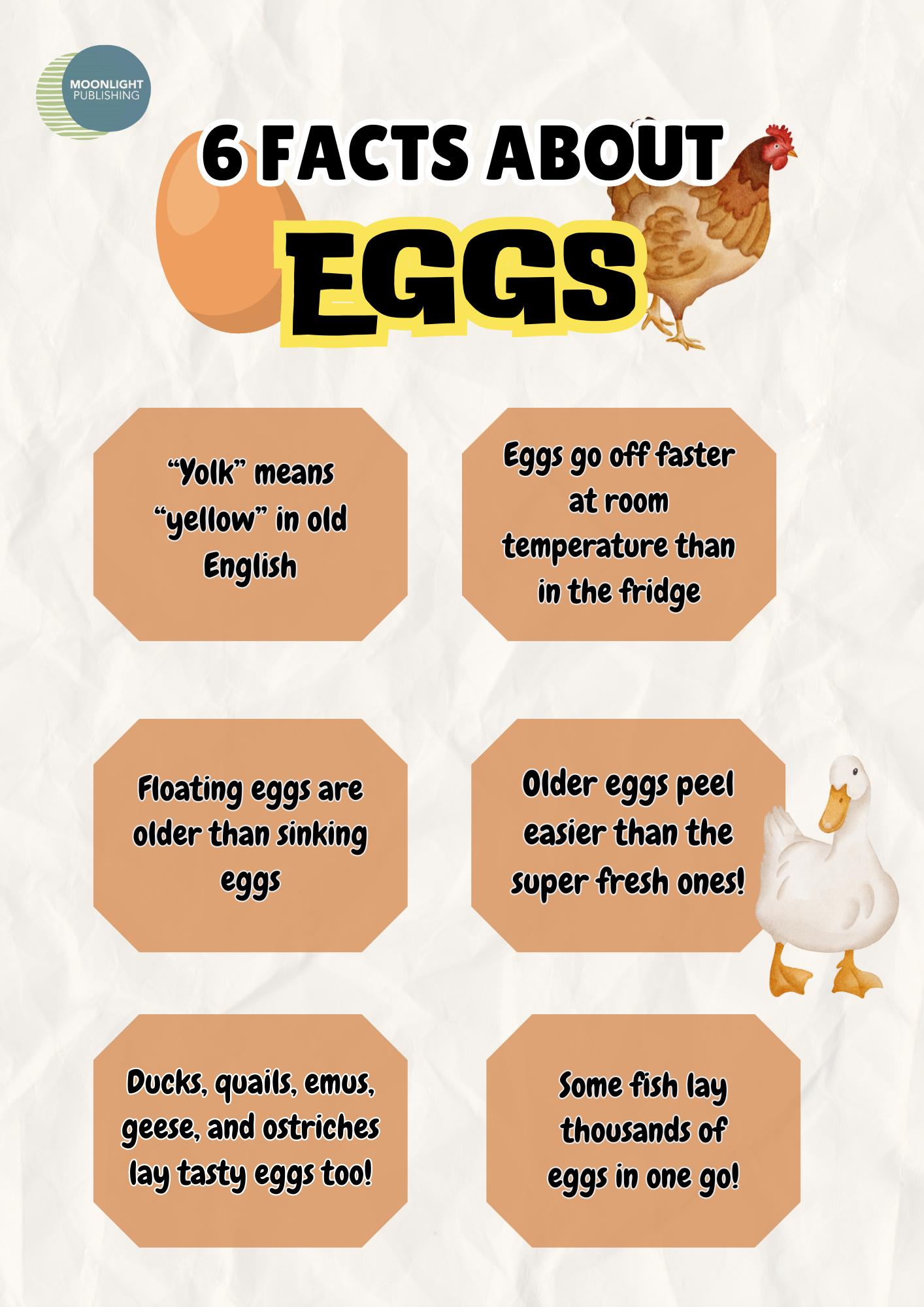 Egg Facts for Kids