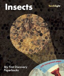 Cover of Insects, a torchlight book from Moonlight Publishing. A perfect summer activity read for UK kids.