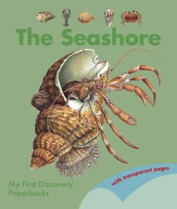 Cover of The Seashore, a classic book from Moonlight Publishing. A perfect summer activity read for UK kids.